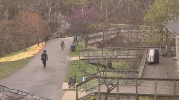 Weather camera view of Lake Roland Nature Council.