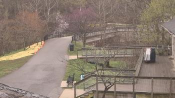 Weather camera view of Lake Roland Nature Council.