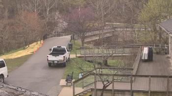 Weather camera view of Lake Roland Nature Council.