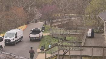 Weather camera view of Lake Roland Nature Council.