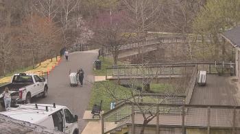 Weather camera view of Lake Roland Nature Council.