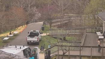 Weather camera view of Lake Roland Nature Council.