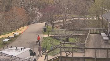 Weather camera view of Lake Roland Nature Council.