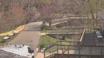 Weather camera view of Lake Roland Nature Council.