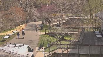 Weather camera view of Lake Roland Nature Council.