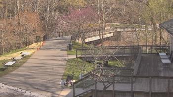 Weather camera view of Lake Roland Nature Council.