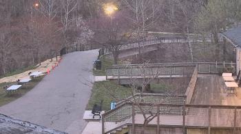 Weather camera view of Lake Roland Nature Council.