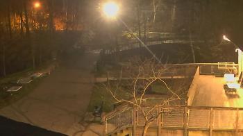 Weather camera view of Lake Roland Nature Council.