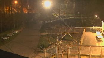 Weather camera view of Lake Roland Nature Council.