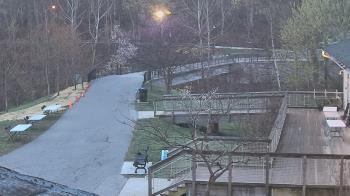 Weather camera view of Lake Roland Nature Council.