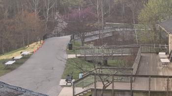 Weather camera view of Lake Roland Nature Council.