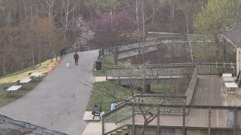 Weather camera view of Lake Roland Nature Council.