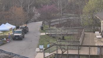 Weather camera view of Lake Roland Nature Council.