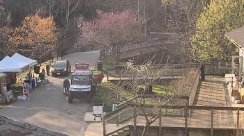 Weather camera view of Lake Roland Nature Council.