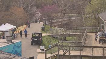 Weather camera view of Lake Roland Nature Council.