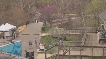 Weather camera view of Lake Roland Nature Council.
