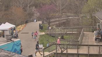 Weather camera view of Lake Roland Nature Council.