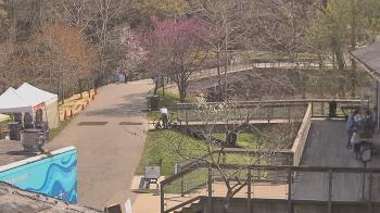 Weather camera view of Lake Roland Nature Council.