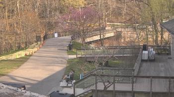 Weather camera view of Lake Roland Nature Council.