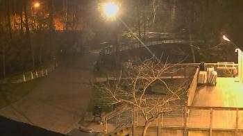 Weather camera view of Lake Roland Nature Council.