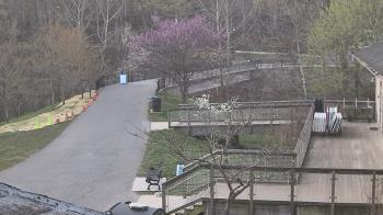 Weather camera view of Lake Roland Nature Council.