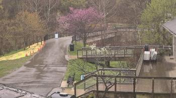 Weather camera view of Lake Roland Nature Council.