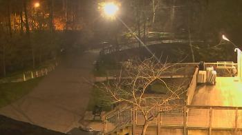 Weather camera view of Lake Roland Nature Council.