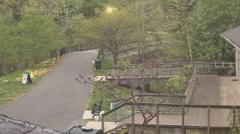 Weather camera view of Lake Roland Nature Council.