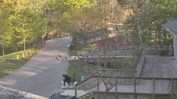Weather camera view of Lake Roland Nature Council.