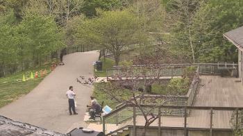 Weather camera view of Lake Roland Nature Council.