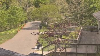 Weather camera view of Lake Roland Nature Council.