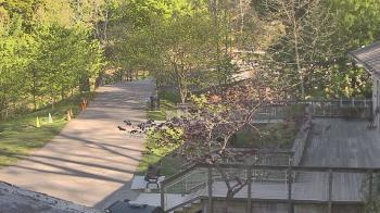 Weather camera view of Lake Roland Nature Council.