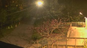 Weather camera view of Lake Roland Nature Council.