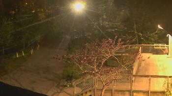 Weather camera view of Lake Roland Nature Council.