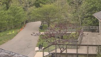 Weather camera view of Lake Roland Nature Council.