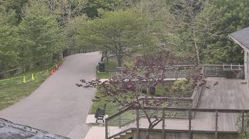 Weather camera view of Lake Roland Nature Council.