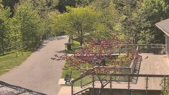 Weather camera view of Lake Roland Nature Council.