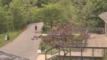 Weather camera view of Lake Roland Nature Council.