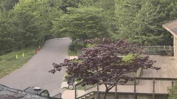 Weather camera view of Lake Roland Nature Council.