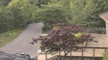 Weather camera view of Lake Roland Nature Council.