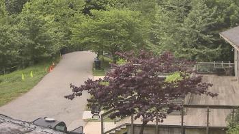 Weather camera view of Lake Roland Nature Council.
