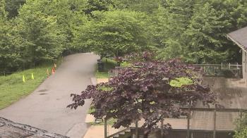 Weather camera view of Lake Roland Nature Council.