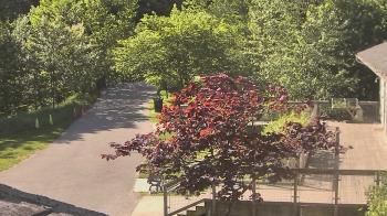 Weather camera view of Lake Roland Nature Council.