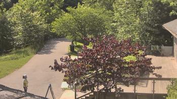 Weather camera view of Lake Roland Nature Council.