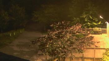Weather camera view of Lake Roland Nature Council.