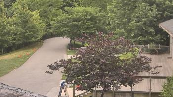 Weather camera view of Lake Roland Nature Council.