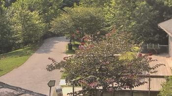 Weather camera view of Lake Roland Nature Council.