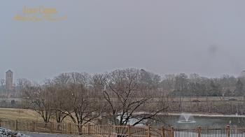 Weather camera view of Luray Caverns.