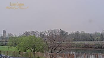 Weather camera view of Luray Caverns.