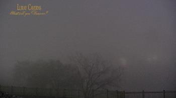 Weather camera view of Luray Caverns.